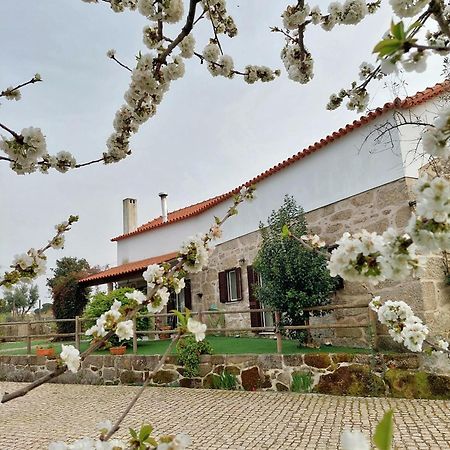 A Casa Do Soito Villa Oliveira do Hospital Exterior foto