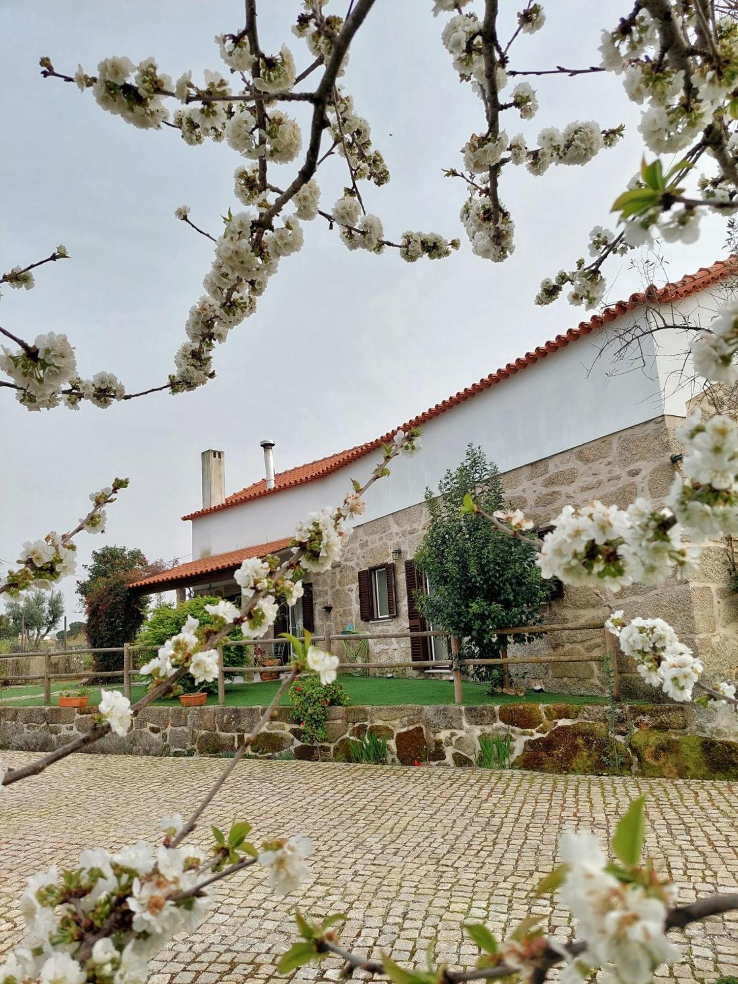 A Casa Do Soito Villa Oliveira do Hospital Exterior foto